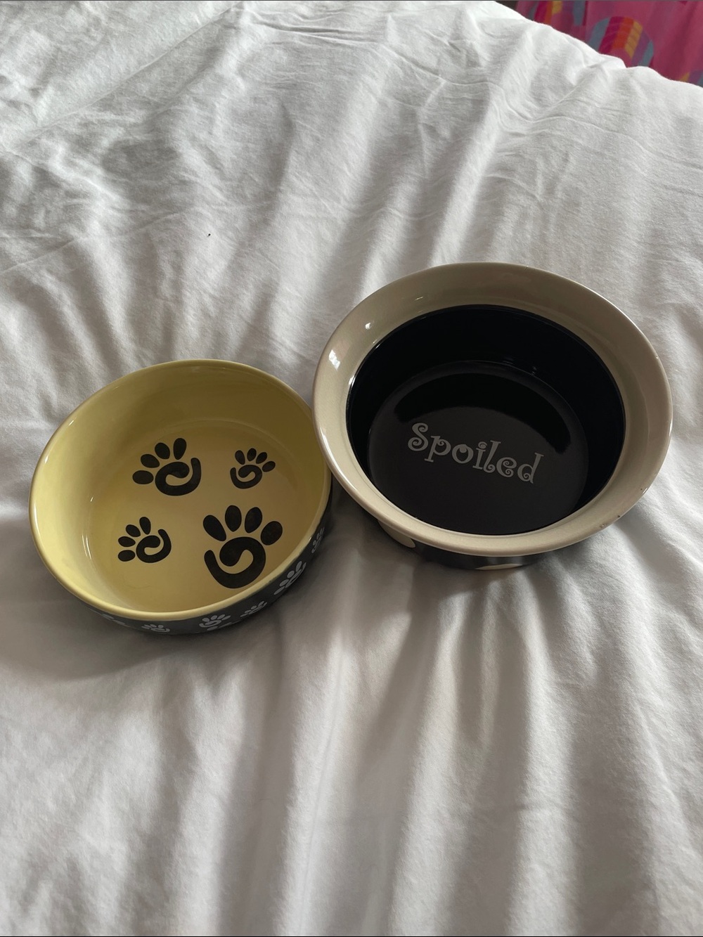 Ceramic Dog Bowls Set - off white & Black Design